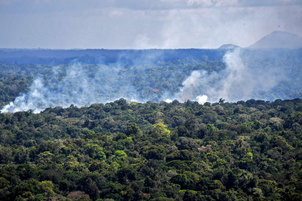 New Data Finds Large Portion Of Amazon Rainforest Now Emits More Carbon
