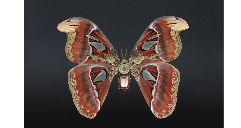 The Best Mechanical Art Creations In The Word