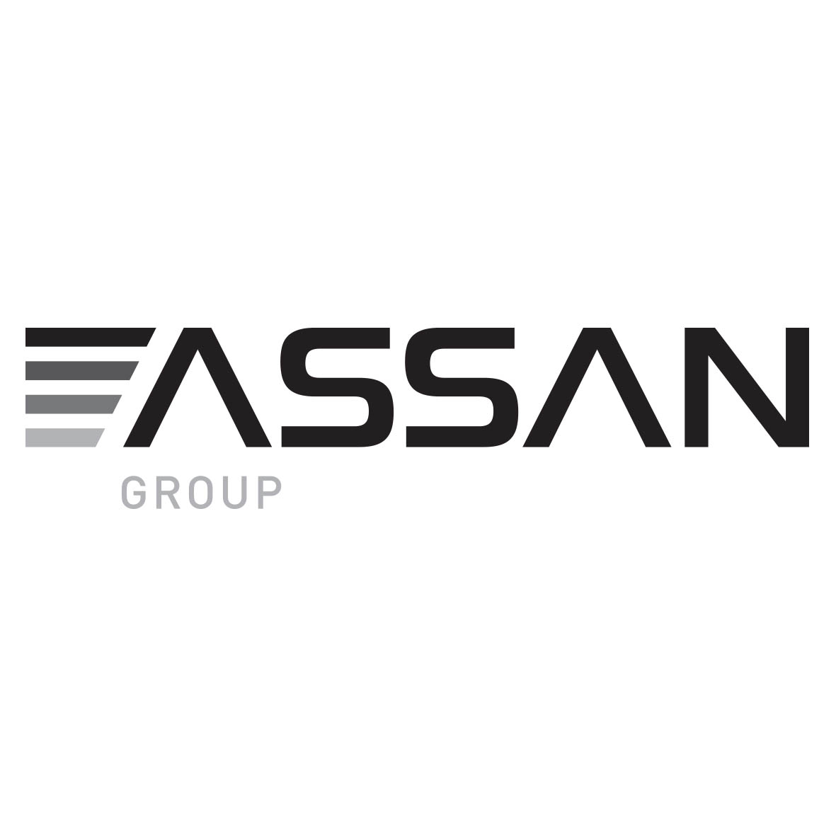 Assan  Group