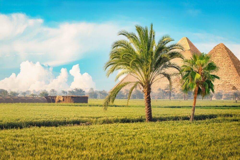 From Harvest Loans To Growth Capital: Egypt’s Farm Credit Revolution