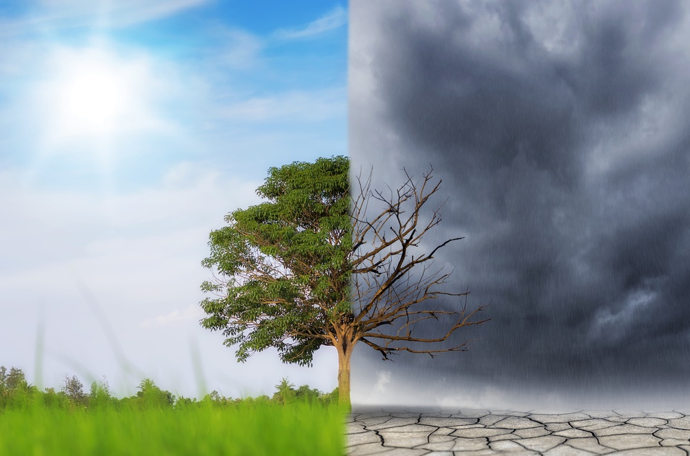 The Hidden Economic Cost Of Extreme Heat