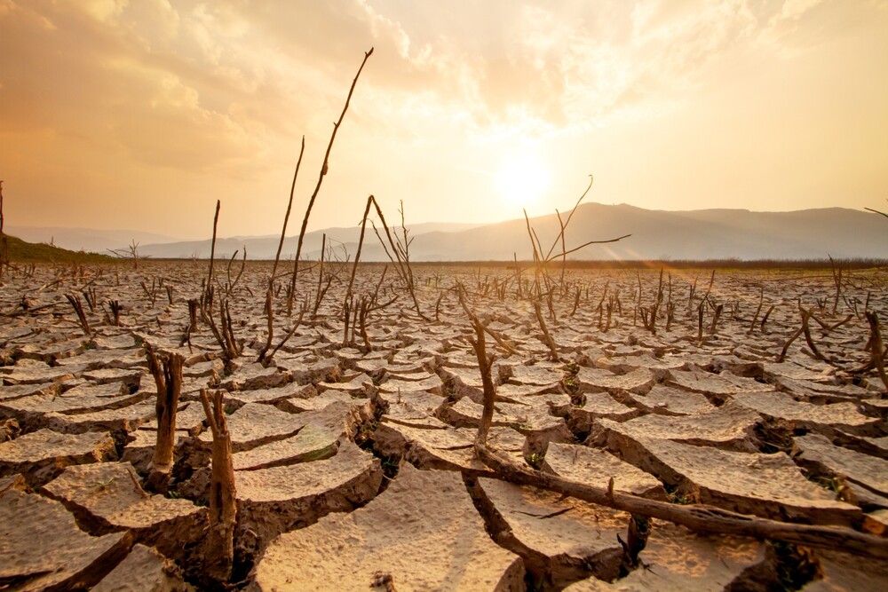 Wealthy Nations Could Help Insure 100 Climate Vulnerable Countries With