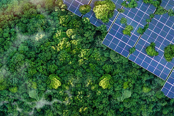 Green Push: UAE's FAB Achieves 76% Of Its $136B Climate Finance Target