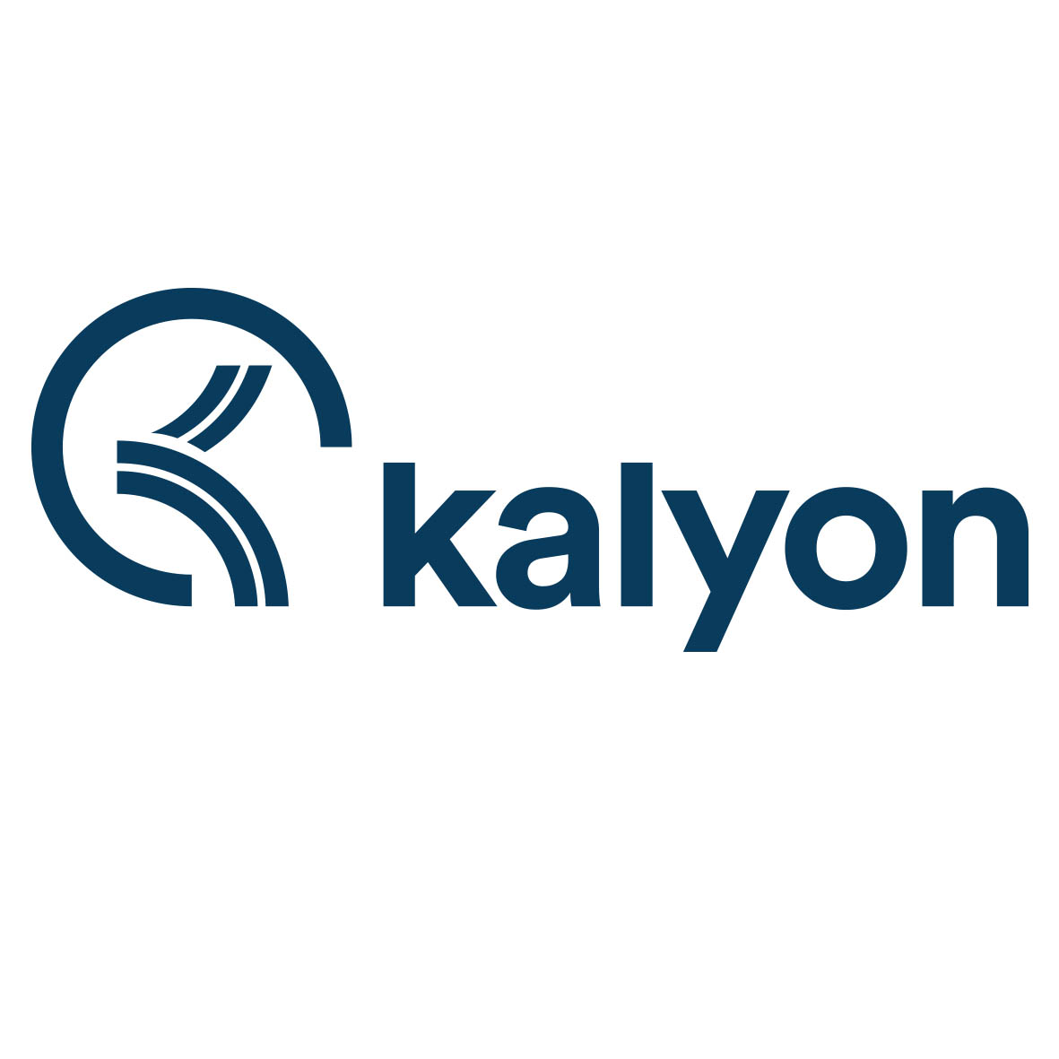 Kalyon  Holding