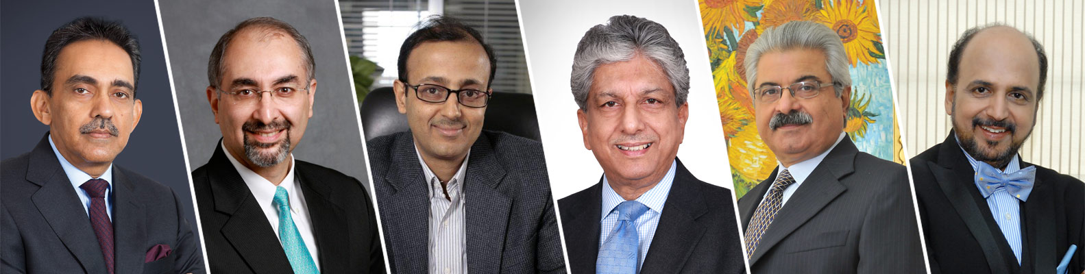 Top Indian Leaders in the Arab World 2015: Executive Management