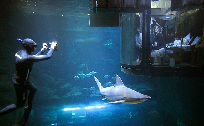 Inside The Shark Suite Airbnb S First Underwater Hotel Room